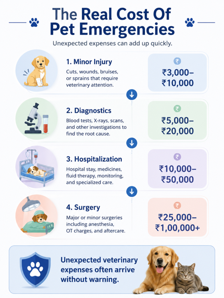 Understanding pet emergency expenses