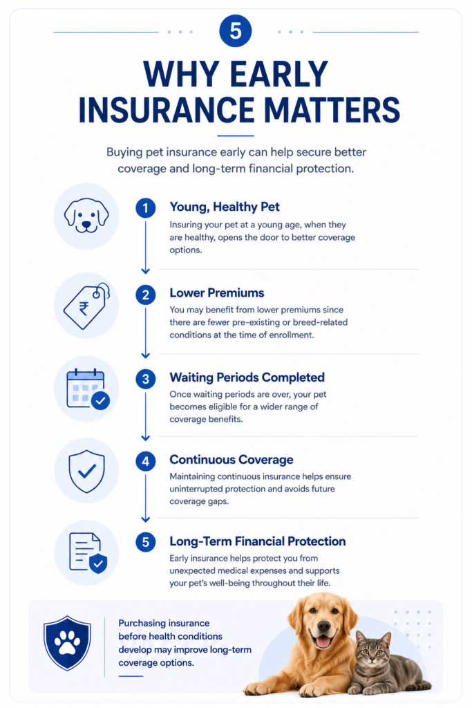 Why early pet insurance matters